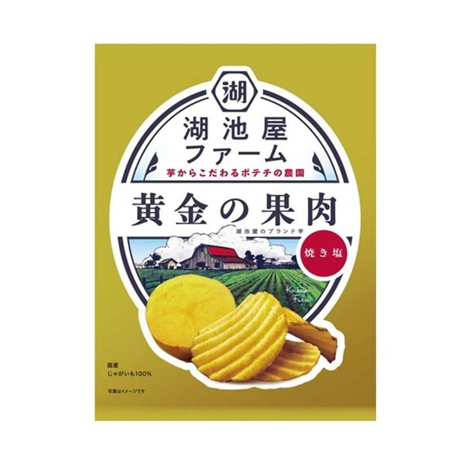 KOIKEYA Farm Golden Potato Chips Roasted Salt Flavor 55g Yui mart