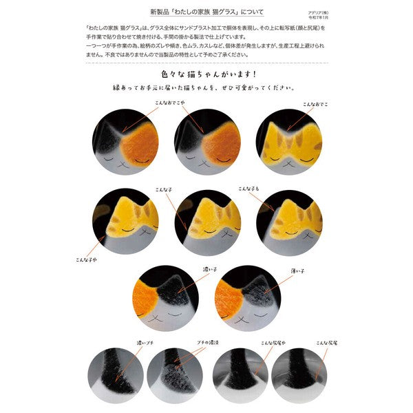 [Made in Japan] My Family Cat Glass (Single Piece) Yui mart