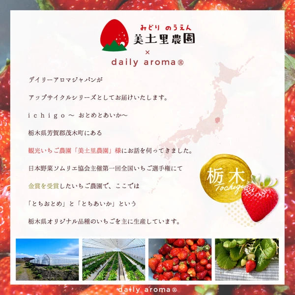 Daily Aroma Strawberry Hand Cream 75g Yui mart