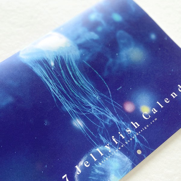 2027 Nao Jellyfish Illustrated A4 Wall Calendar cover