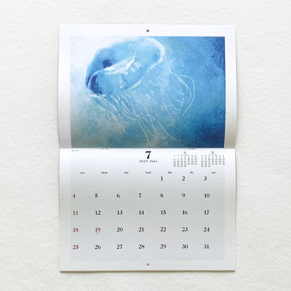 2027 Nao Jellyfish Wall Calendar artwork preview 3