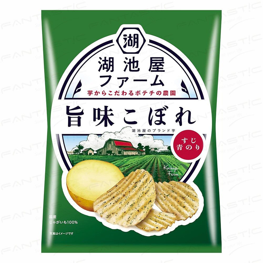 Koikeya Potato Chips Nori Shio Seaweed Salt 55g Koikeya