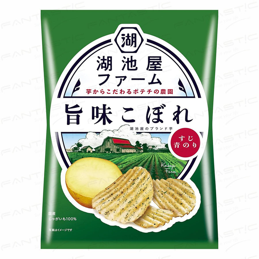 Koikeya Potato Chips Nori Shio Seaweed Salt 55g Koikeya