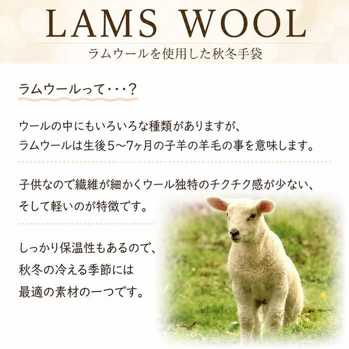Mamoruco Japan-made lambswool blend gloves – product view 3