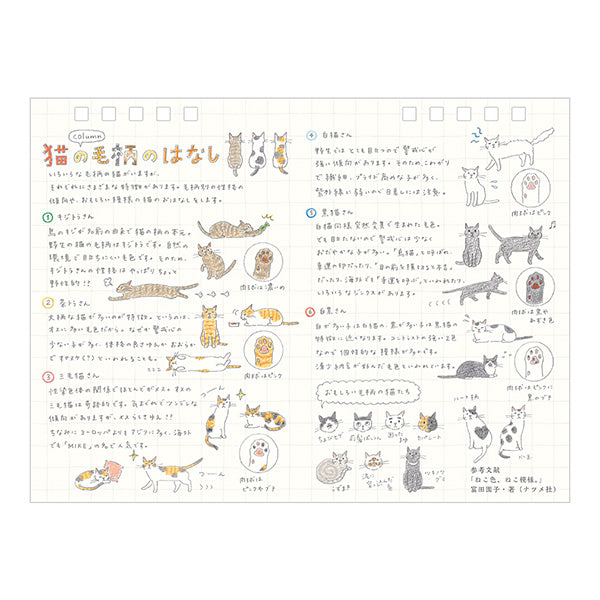MIDORI 2027 Cat calendar handwritten date detail