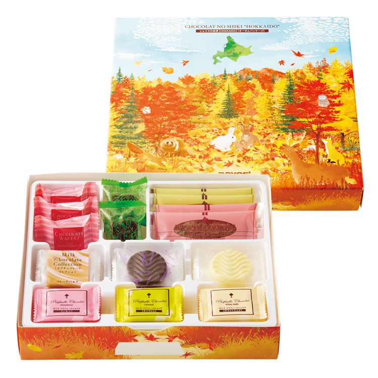 ROYCE HOKKAIDO autumn chocolate assortment open box with assorted pieces
