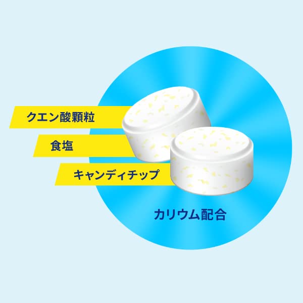 SALT CHARGE TABLETS 81G Yui mart