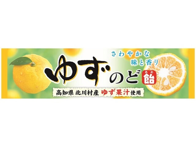Lion Brand Grapefruit Throat Lozenges, 10-pack Yui mart