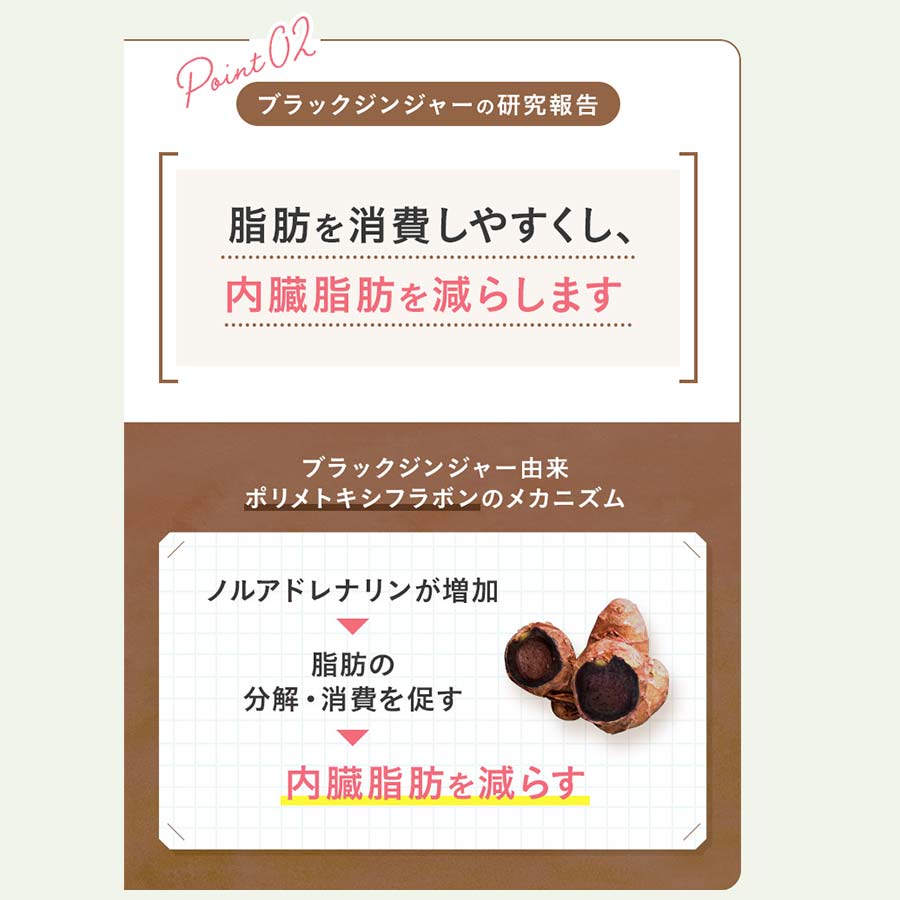 FANCL Naishi Support black ginger research report graphic