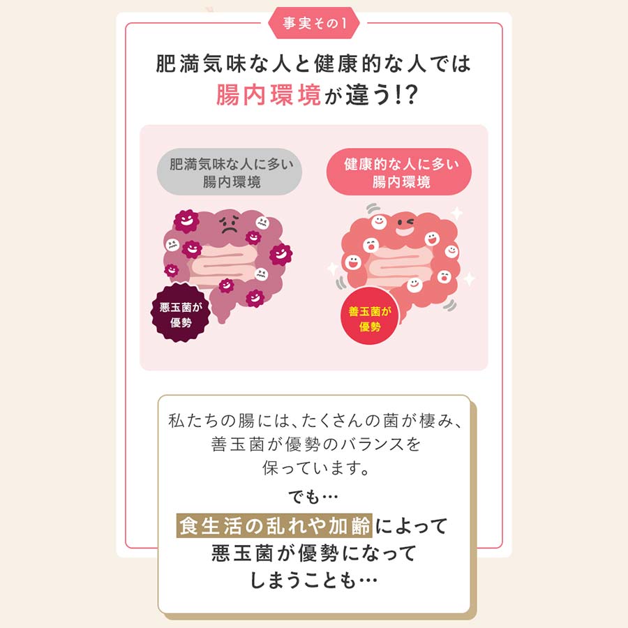 FANCL Naishi Support gut environment and bifidobacteria infographic