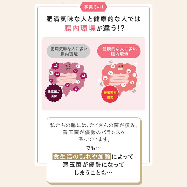 FANCL Naishi Support gut environment and bifidobacteria infographic