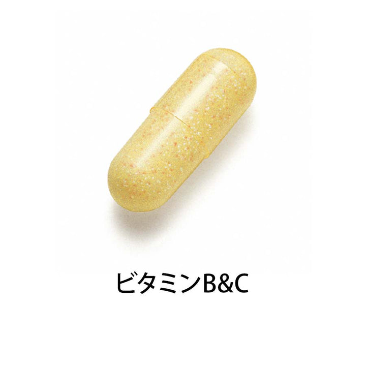 FANCL Supplement for Women in Their 30s vitamin B and C detail