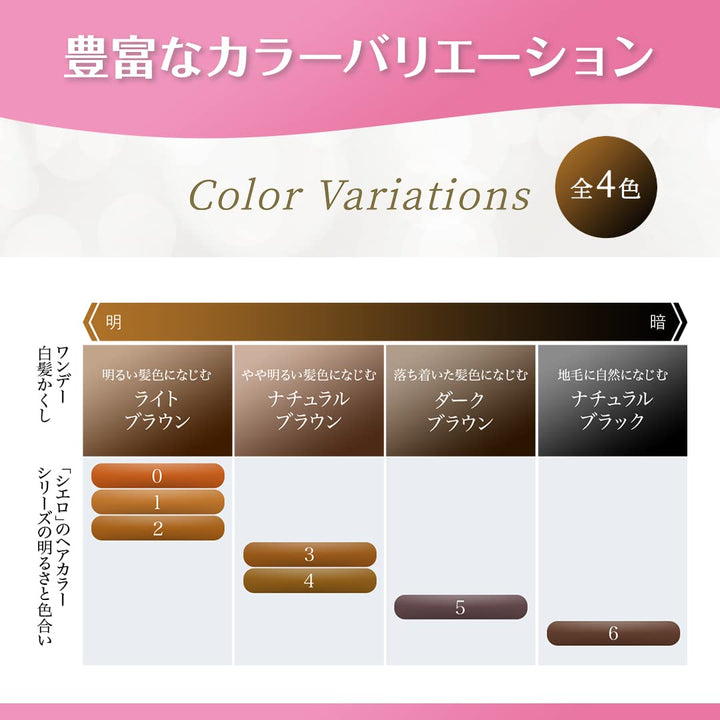 CIELO 1Day hair touch-up color chart including Natural Brown shade