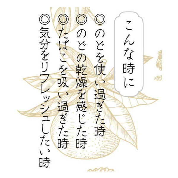 Ryukakusan Royal Jelly Herbal Candy Tablets (Resealable Bag, 88g) Yui mart