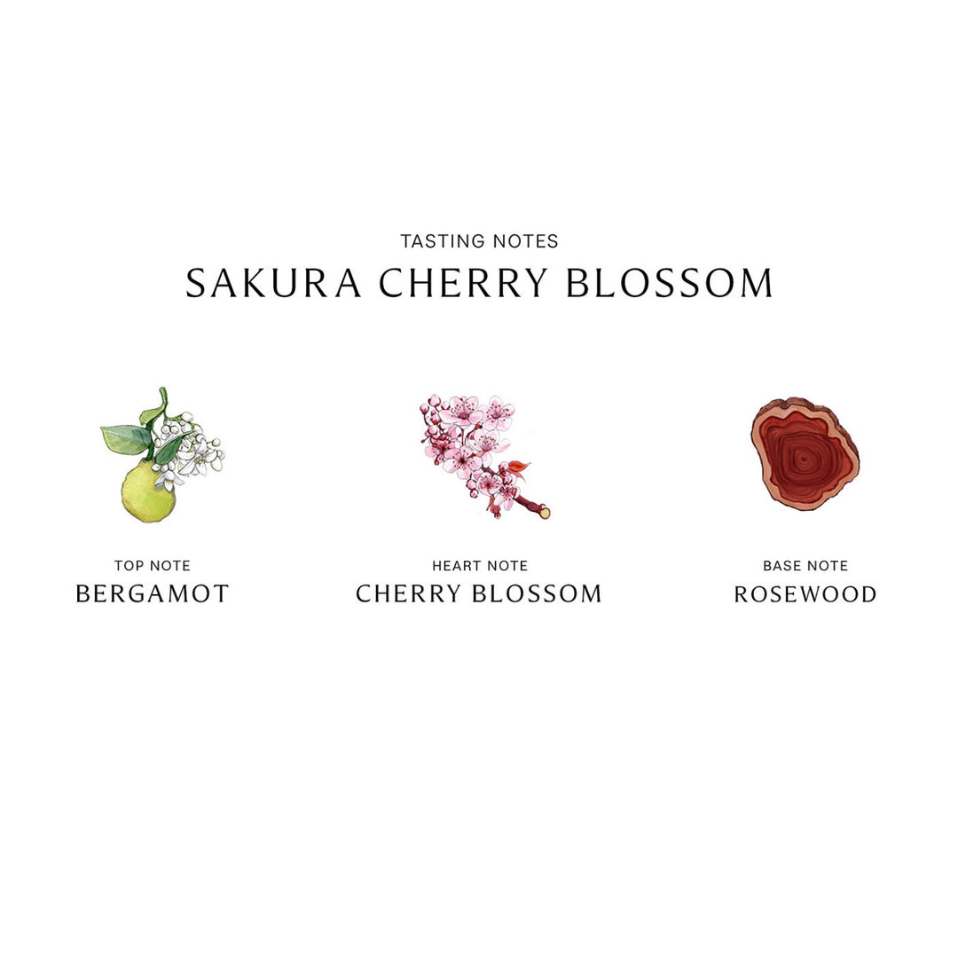 Japan Jo Malone Sakura Season Limited Edition Sakura Perfume 30ml/100ml （No Box）