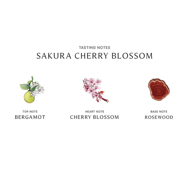 Japan Jo Malone Sakura Season Limited Edition Sakura Perfume 30ml/100ml （No Box）