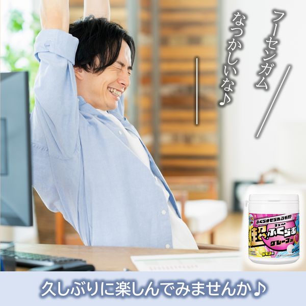 Lotte Fuusen no Mi Bottle Waku Waku Mix Gum 131g