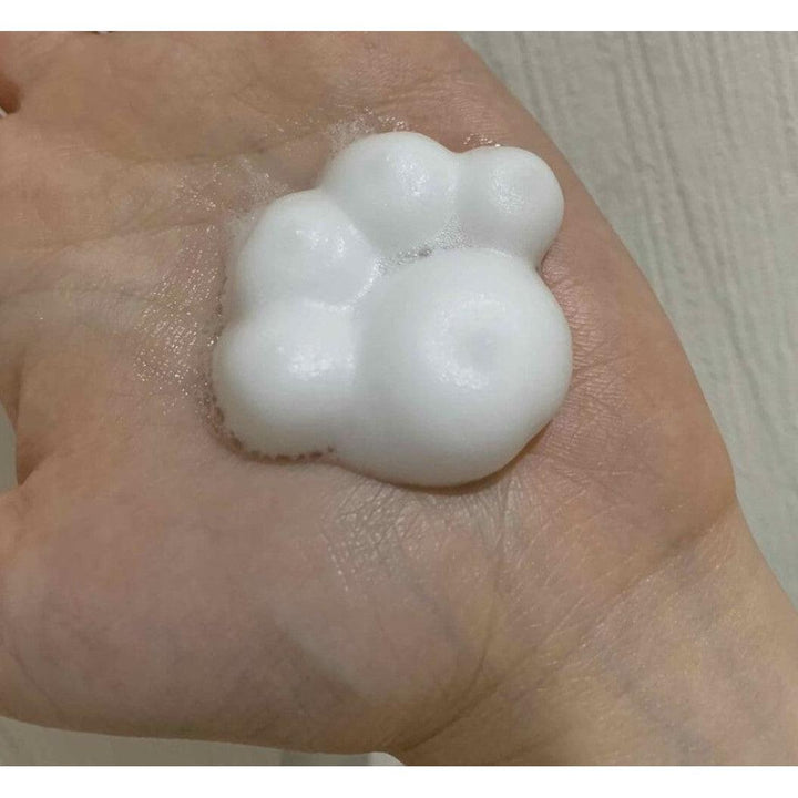 KAO Biore Foam Stamp Hand Soap Paw 240ml Yui mart