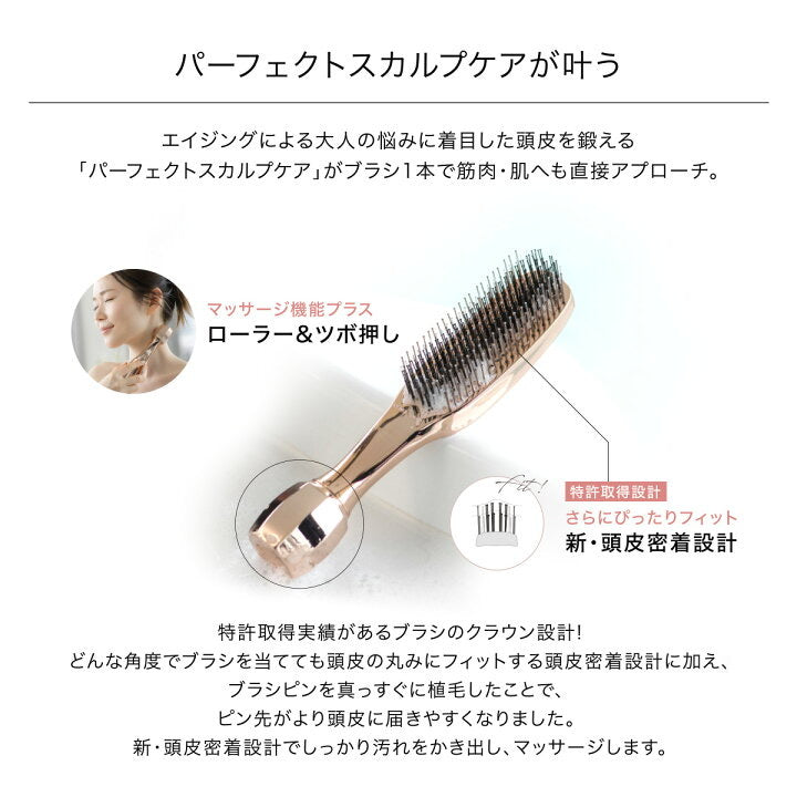 DR SCALP Zeus II Scalp Care & Anti-Hair Loss Massage Brush – Japan, Dry & Wet Use, Gift Box Set