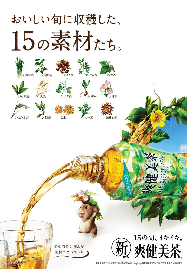 Coca-Cola Sokenbicha 600ml