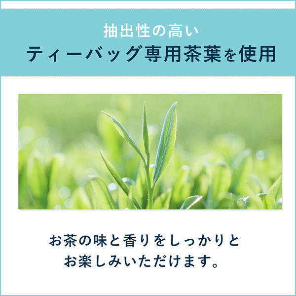 Oi Ocha Eco Tea Bags Hojicha (Roasted Green Tea) 20 Bags Yui mart