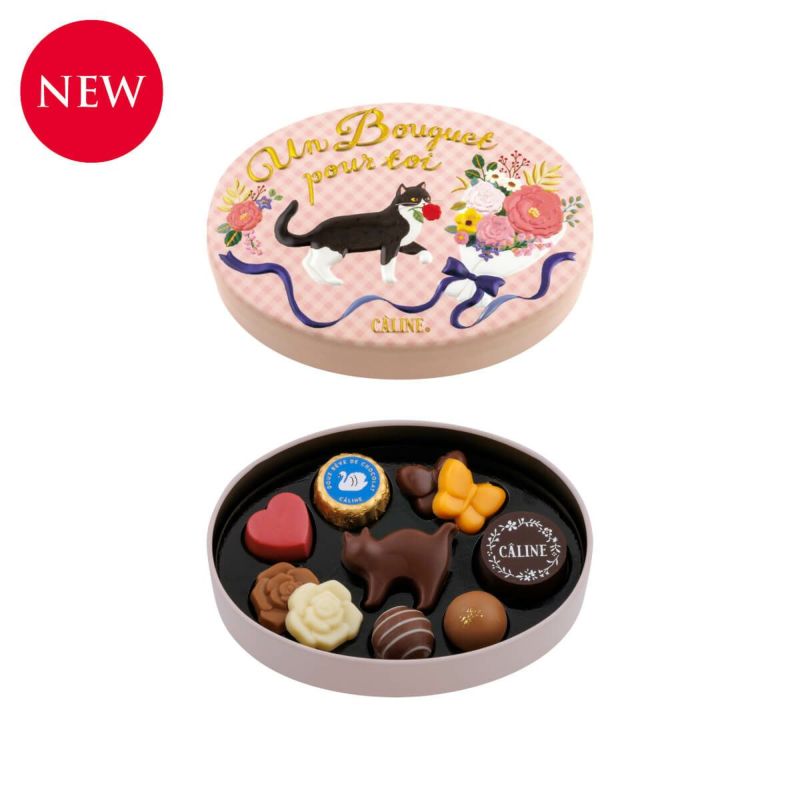 Morozoff Valentine's Day Karin Cat Chocolates 10pc 1 each Yui mart