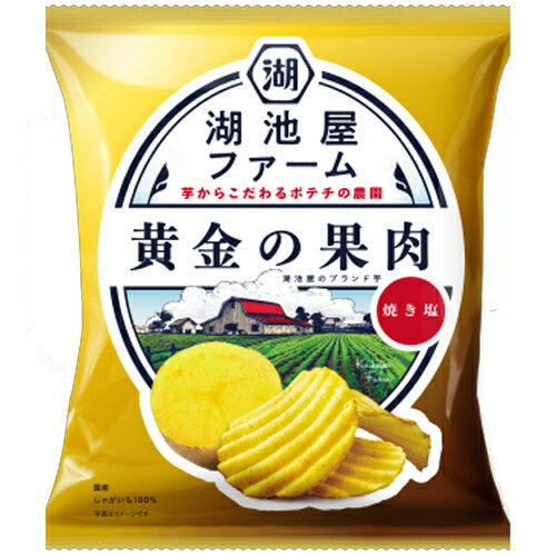 KOIKEYA Farm Golden Potato Chips Roasted Salt Flavor 55g Yui mart