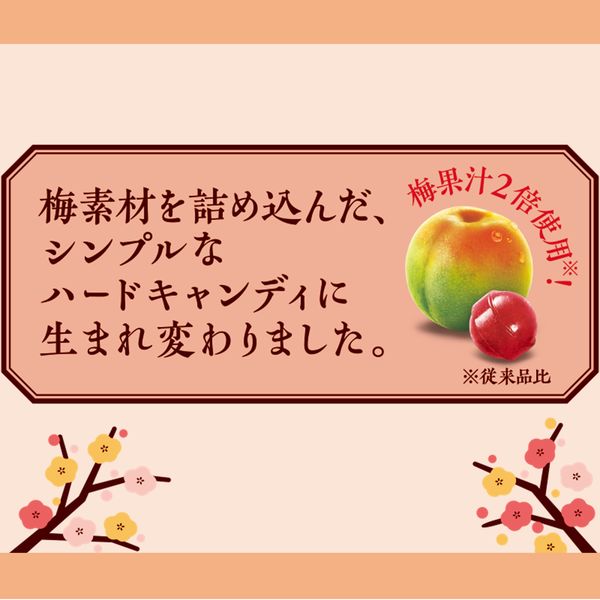 Lotte Small plum bag 60g Yui mart