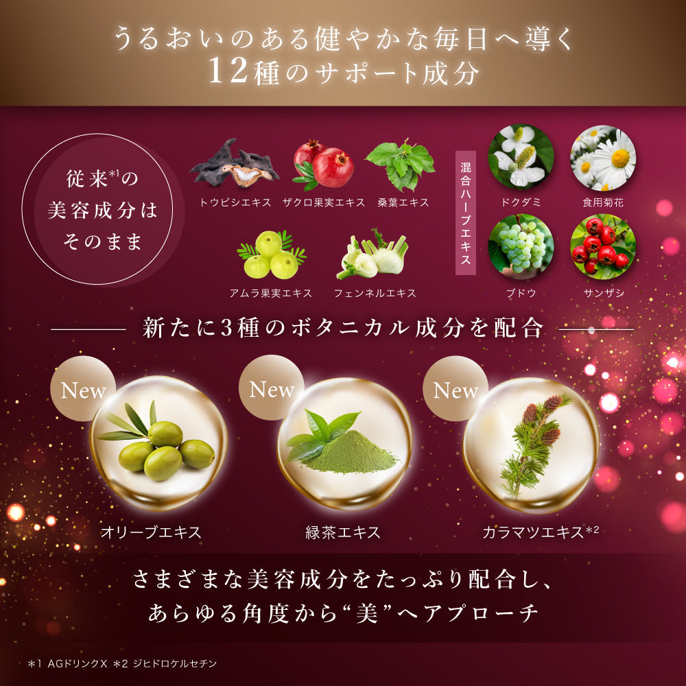 AXXZIA AGTHEORY AG Drink XI botanical support ingredients image