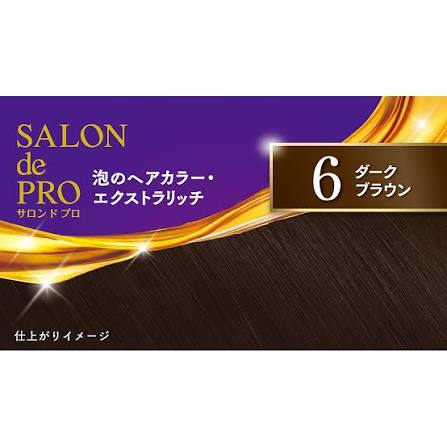 DARIYA Salon de Pro Extra Rich Foam Hair Color #6 Dark Brown DARIYA