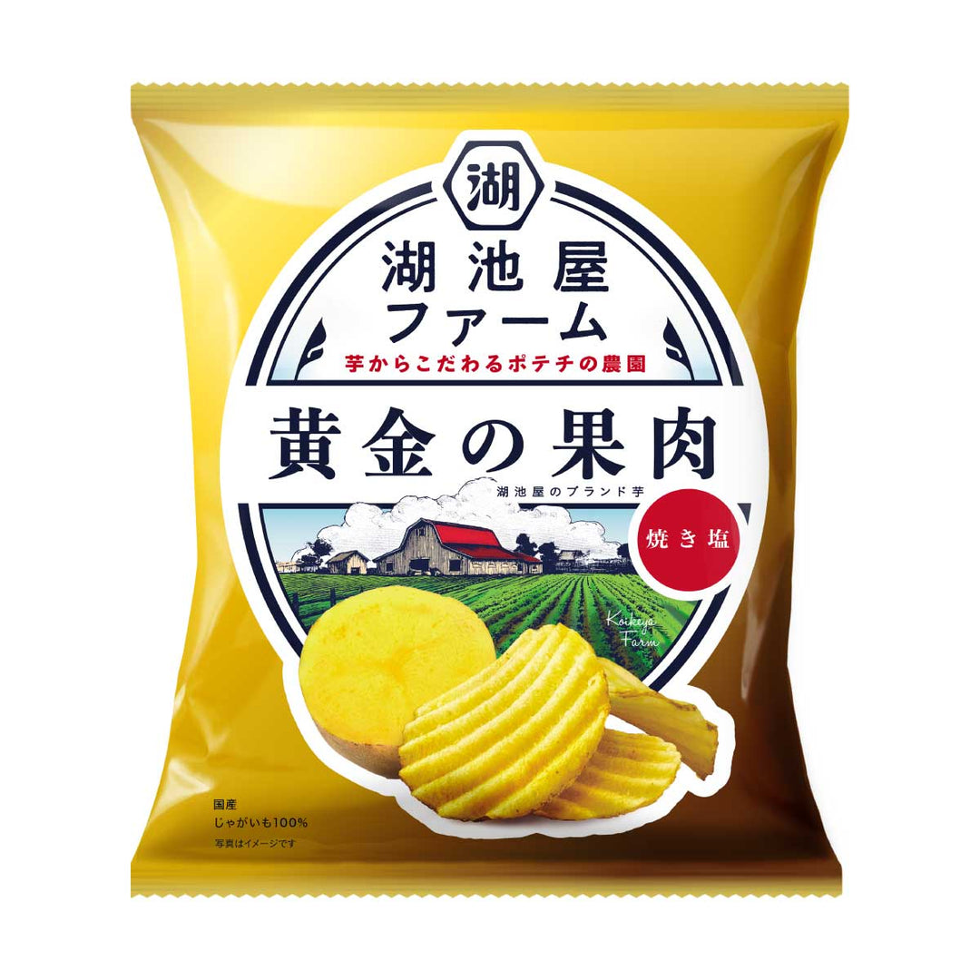 Koikeya Farm Golden Potato Roasted Salt Potato Chips 55g bag front
