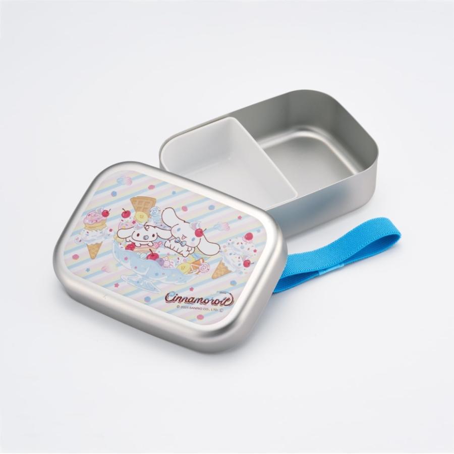 Skater Aluminum Lunch Box