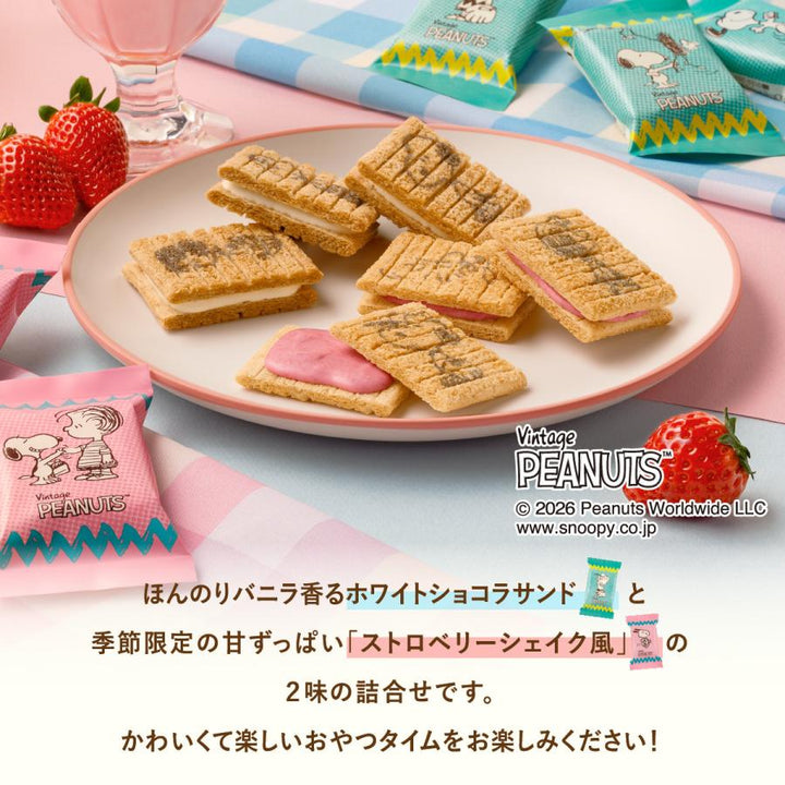 SUGAR BUTTER TREE x PEANUTS 12-piece cookie assortment