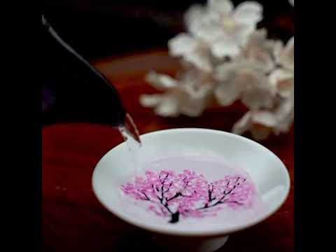Marumo Takagi Sakura color-changing sake cups official demonstration video