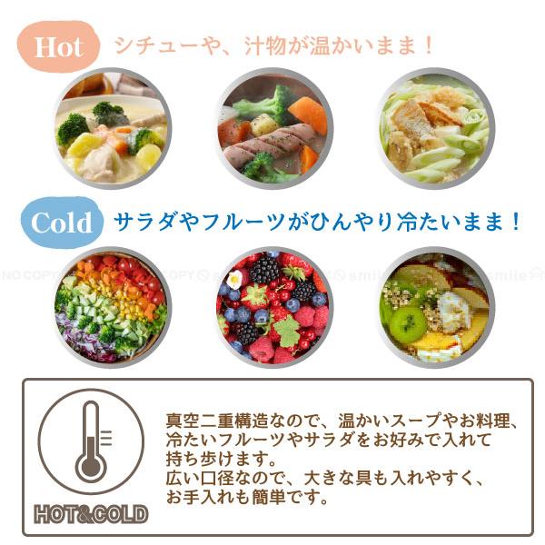 Skater Folding Handle Insulated/Cold Rice Bowl Jar/lunchbox 540ml Umeko Zakka