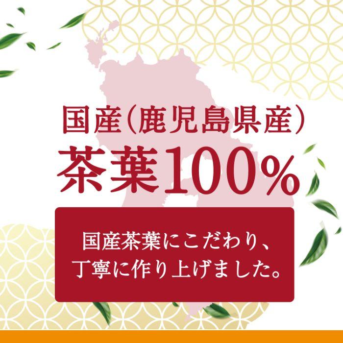 Asahi Japanese Black Tea Straight Honey Style P600ml