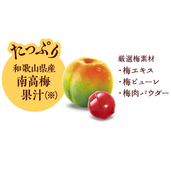 Lotte Small plum bag 60g Yui mart